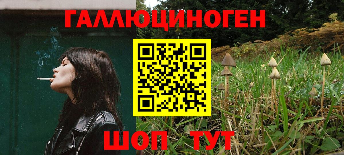 Корсаков  Галлюциногенные грибы Cubensis  Вход с VPN  закладка  Псилоцибиновые грибы MAGIC MUSHROOMS 